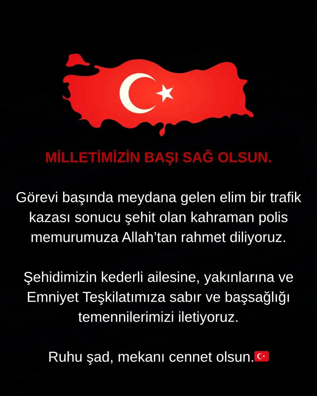 Mersin İl Emniyet Müdürlüğü'nde Görevli Polis Memuru Trafik Kazasında Şehit Oldu