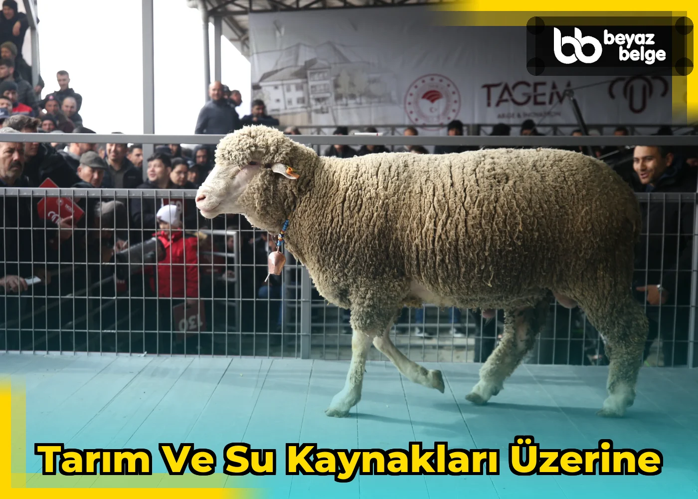 Tarım ve Su Kaynakları Üzerine