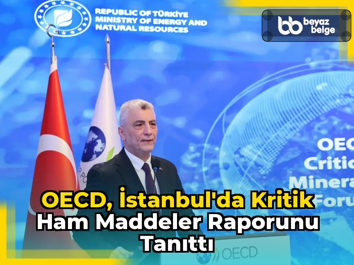 OECD, İstanbul'da Kritik Ham Maddeler Raporunu Tanıttı