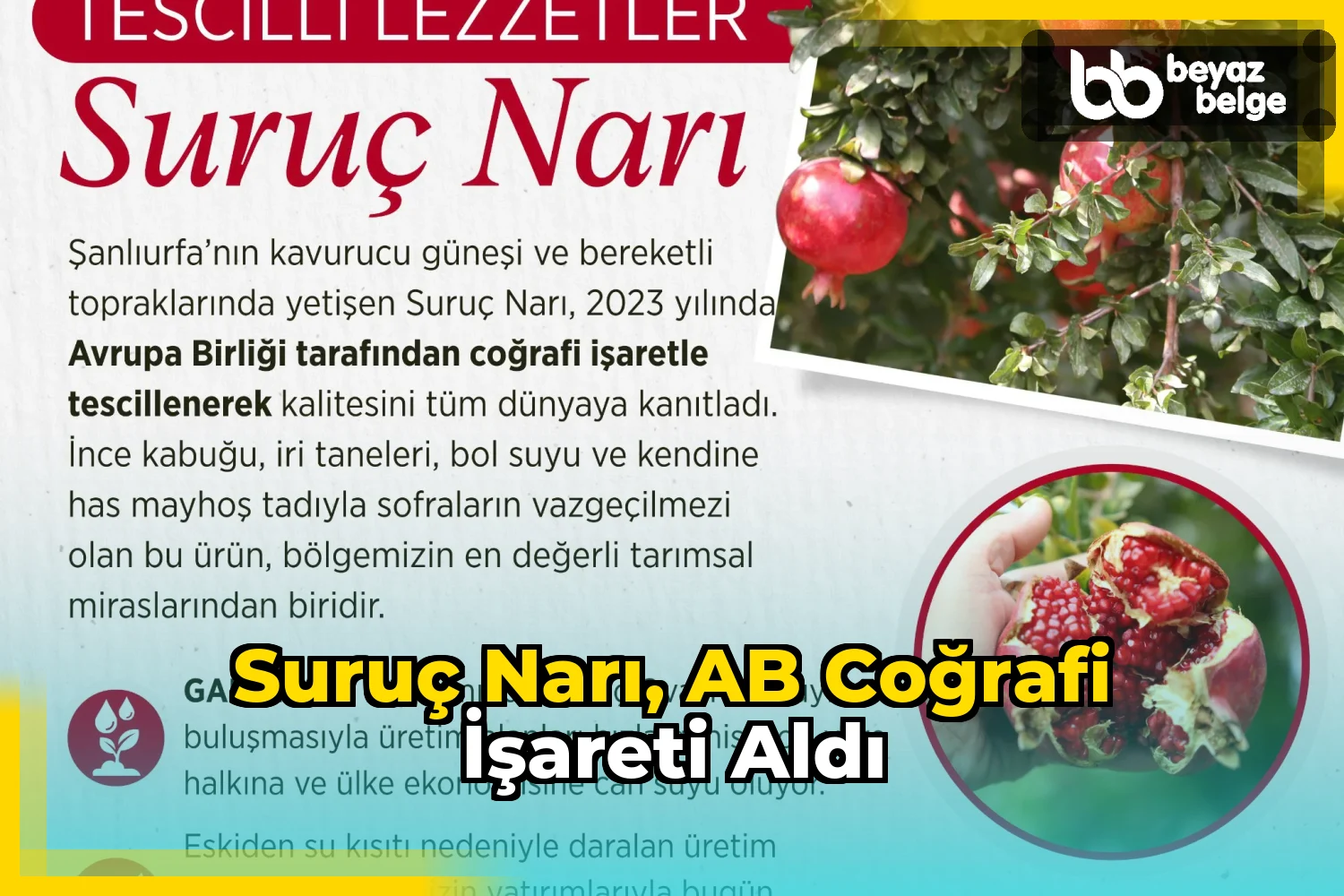Suruç Narı, AB coğrafi işareti aldı
