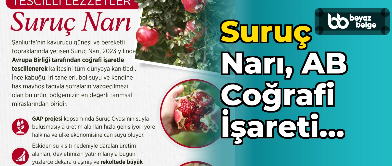 Suruç Narı, AB coğrafi işareti aldı