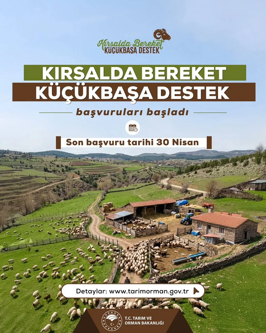 Kırsalda Bereket Küçükbaşa Destek Projesi Başvuruları Başladı